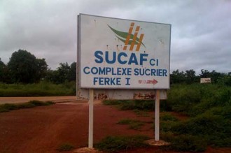 Côte dÂ’Ivoire : Des populations paralysent les activités dans une industrie sucrière 